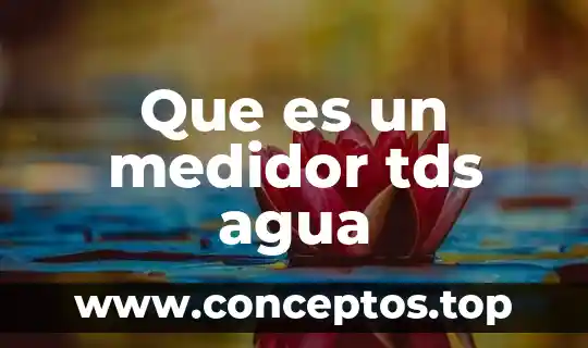 Que es magnetizar el agua 4 Que es un medidor tds agua
