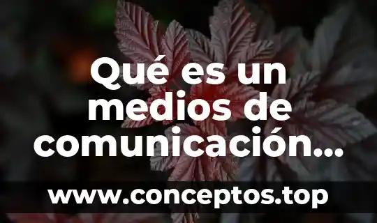 Qué es un medios de comunicación guiados