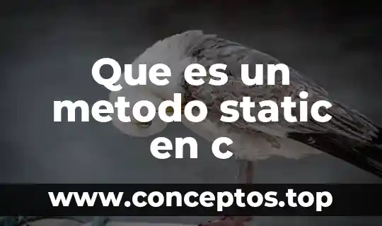 Que es un metodo static en c