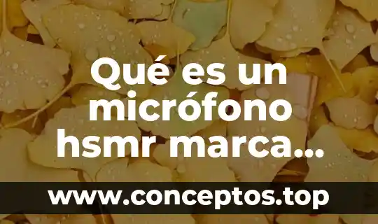 Que es la identidad visual de una marca 3 Qué es un micrófono hsmr marca Blue color