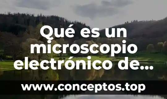 Que es el objetivo del microscopio compuesto 7 Qué es un microscopio electrónico de barrido