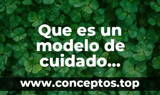 Que es un modelo de cuidado comunitario