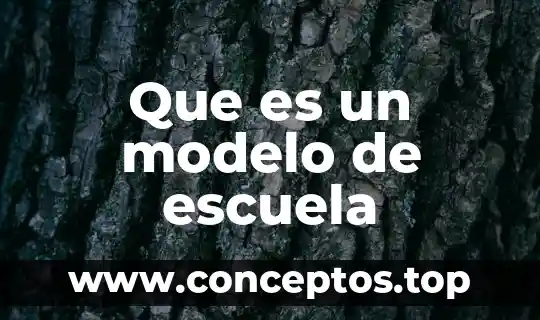 Qué es la filosofía de la escuela 3 Que es un modelo de escuela