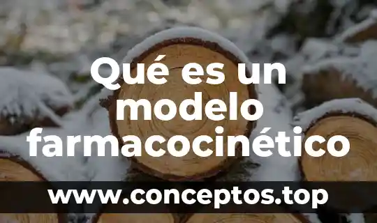Que es el popper sólido 8 Qué es un modelo farmacocinético