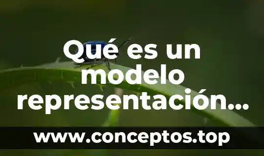 Qué es un modelo representación del universo