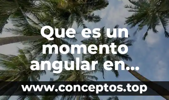 Que es un momento angular en fisica