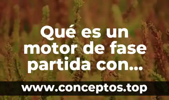 Qué es la bomba de agua del motor 8 Qué es un motor de fase partida con capacitor permanente