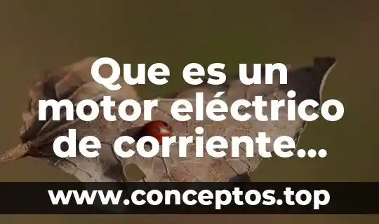 Que es un servomecanismo electrico 7 Que es un motor eléctrico de corriente continua
