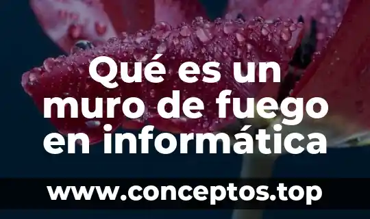 Qué es un muro de fuego en informática