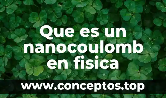 Que es un nanocoulomb en fisica