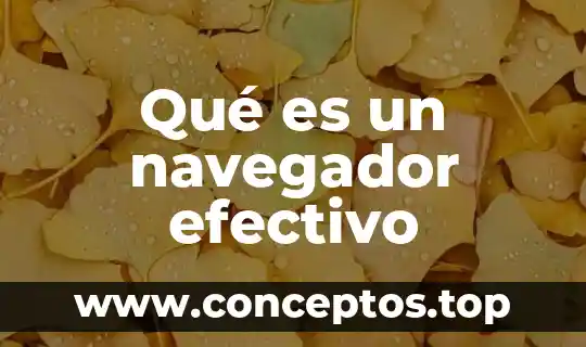 Qué es un navegador efectivo