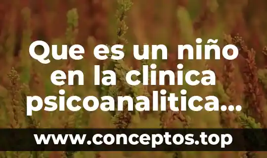 Que es un niño en la clinica psicoanalitica liora