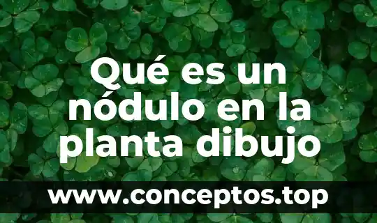 Qué es un nódulo en la planta dibujo