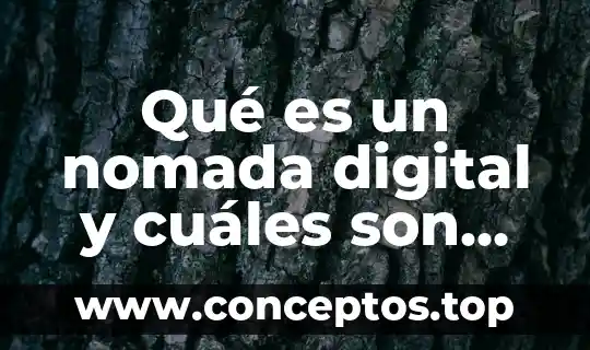 Que es una balanza comercial y cuales son sus tipos 5 Qué es un nomada digital y cuáles son sus trabajos