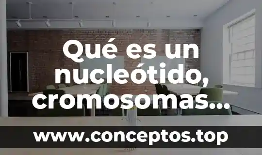 Qué es un nucleótido, cromosomas, cromatina, núcleo y célula