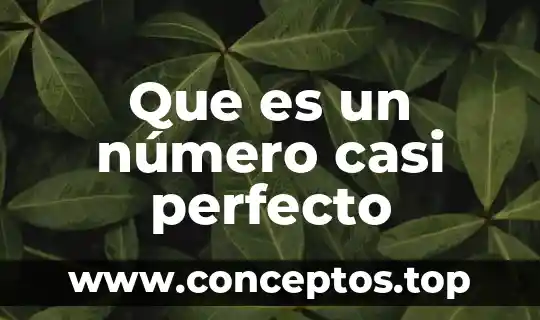 Que es un número casi perfecto