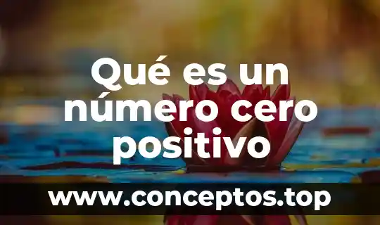 Qué es un número cero positivo