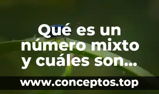 Qué es un número mixto y cuáles son sus partes