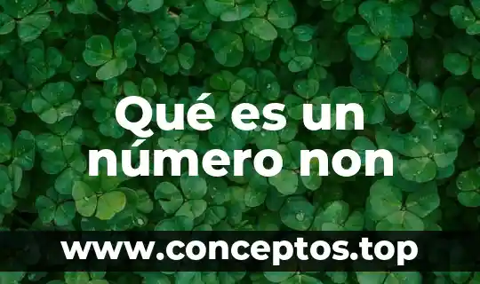 Qué es un número non
