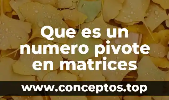 Que es un numero pivote en matrices