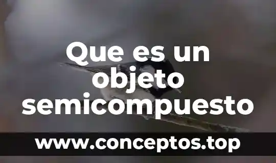 Que es un objeto semicompuesto