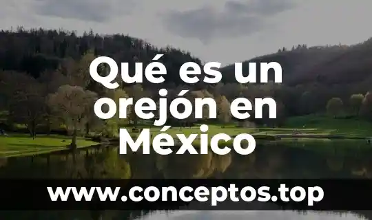 Que es el abandono infantil en mexico 7 Qué es un orejón en México