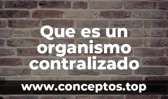 Que es un organismo contralizado