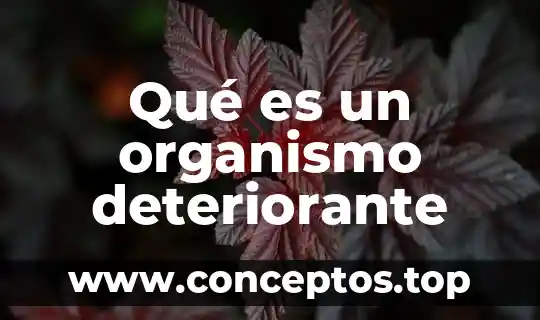 Que es un nombre cientifico de un organismo 6 Qué es un organismo deteriorante