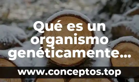 52 Que es un rango modificado 3 Qué es un organismo genéticamente modificado daños y beneficios