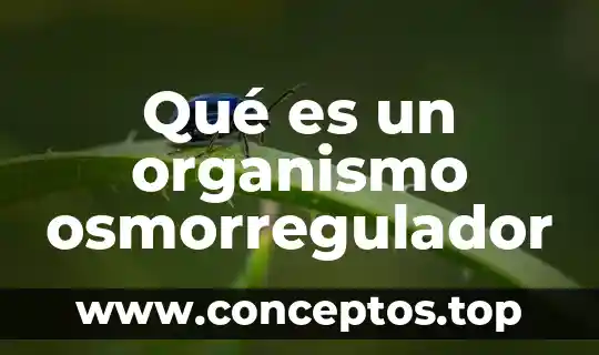 Qué es un organismo osmorregulador