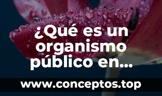 Qué es un nombre público 8 ¿Qué es un organismo público en administración?