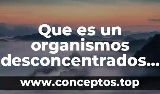 Que es un organismos desconcentrados en mexico