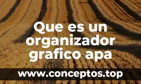 Que es un organizador grafico apa