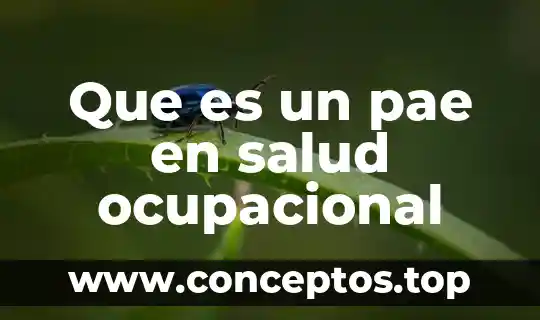 Que es un ser ocupacional 5 Que es un pae en salud ocupacional
