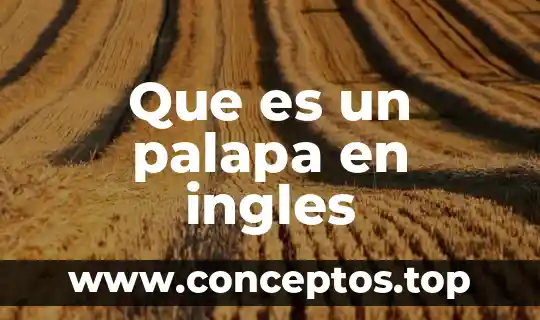 Que es intoxication en ingles 4 Que es un palapa en ingles