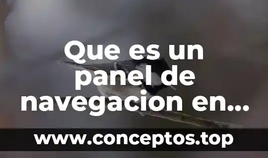 Que es un panel de discusion publico 5 Que es un panel de navegacion en word