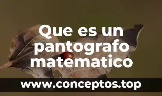 Que es un pantografo matematico