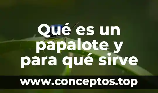 Argumento científico que es 5 Qué es un papalote y para qué sirve
