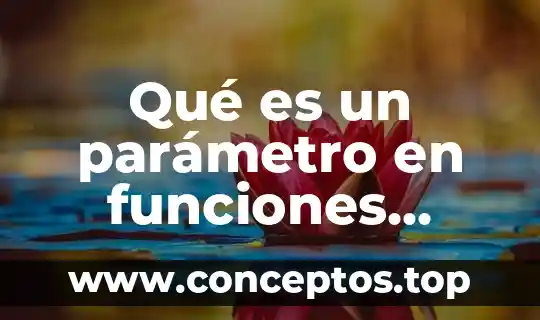 Qué es un parámetro en funciones vectoriales