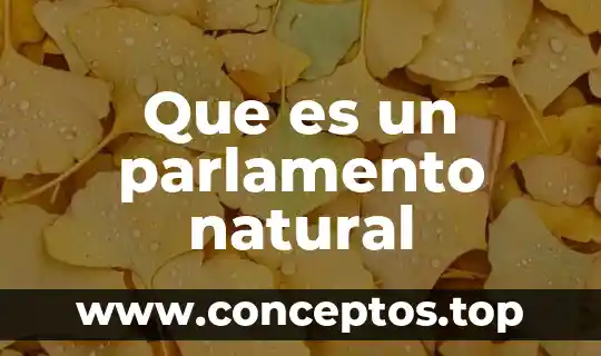 Que es un parlamento natural