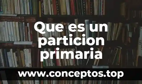 Que es un particion primaria