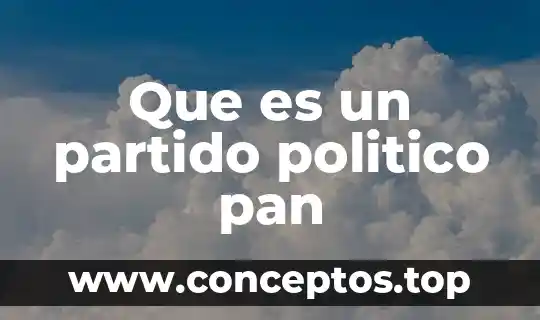 Que es un partido politico pan