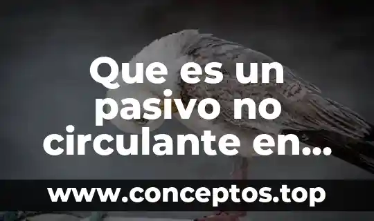 Que es un pasivo no circulante en contabilidad ejemplos