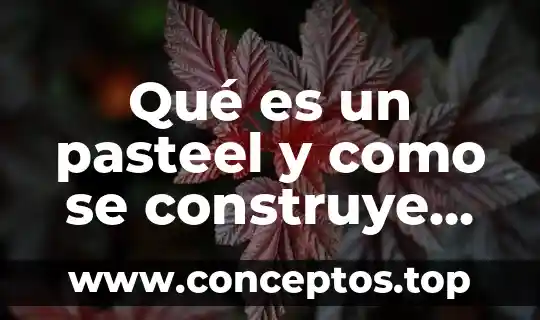 Qué es un pasteel y como se construye en estadística