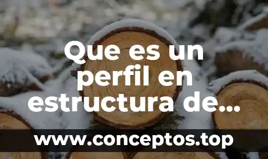 Que es un perfil en estructura de acero