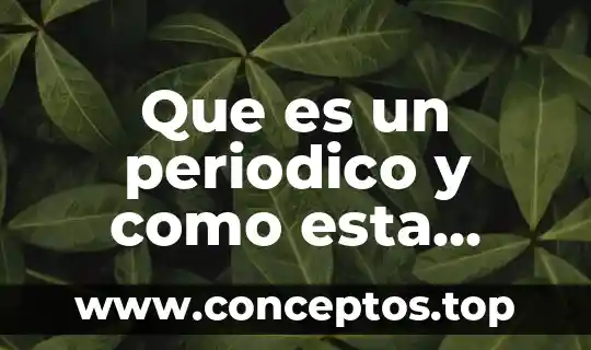 Que es un periodico y como esta estructurado