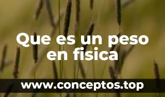Que es un peso en fisica