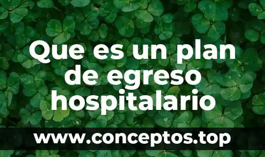 Que es plan de estudios 2016 4 Que es un plan de egreso hospitalario