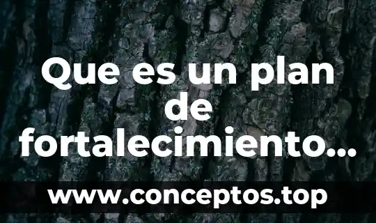 Que es un plan de fortalecimiento empresarial