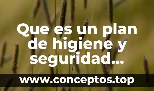 Que es un ser ocupacional 8 Que es un plan de higiene y seguridad ocupacional